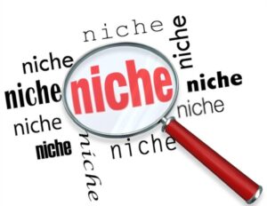 A magnifying glass hovering over several instances of the word niche, symbolizing targeted marketing of small demographic groups