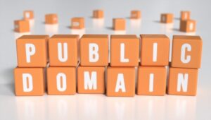 Public domain concept. Cubes with public domain text. 3d illustration